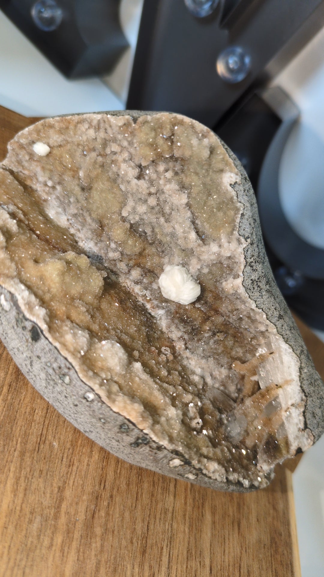 Okenite From India (H)✨