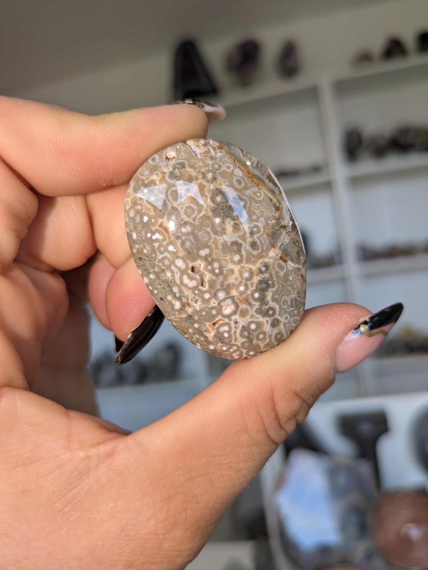 Jasper palm ✨