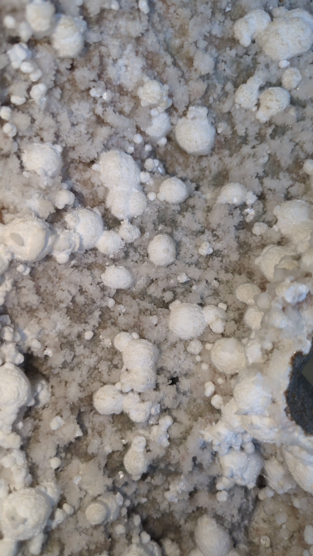 Okenite From India ✨ A