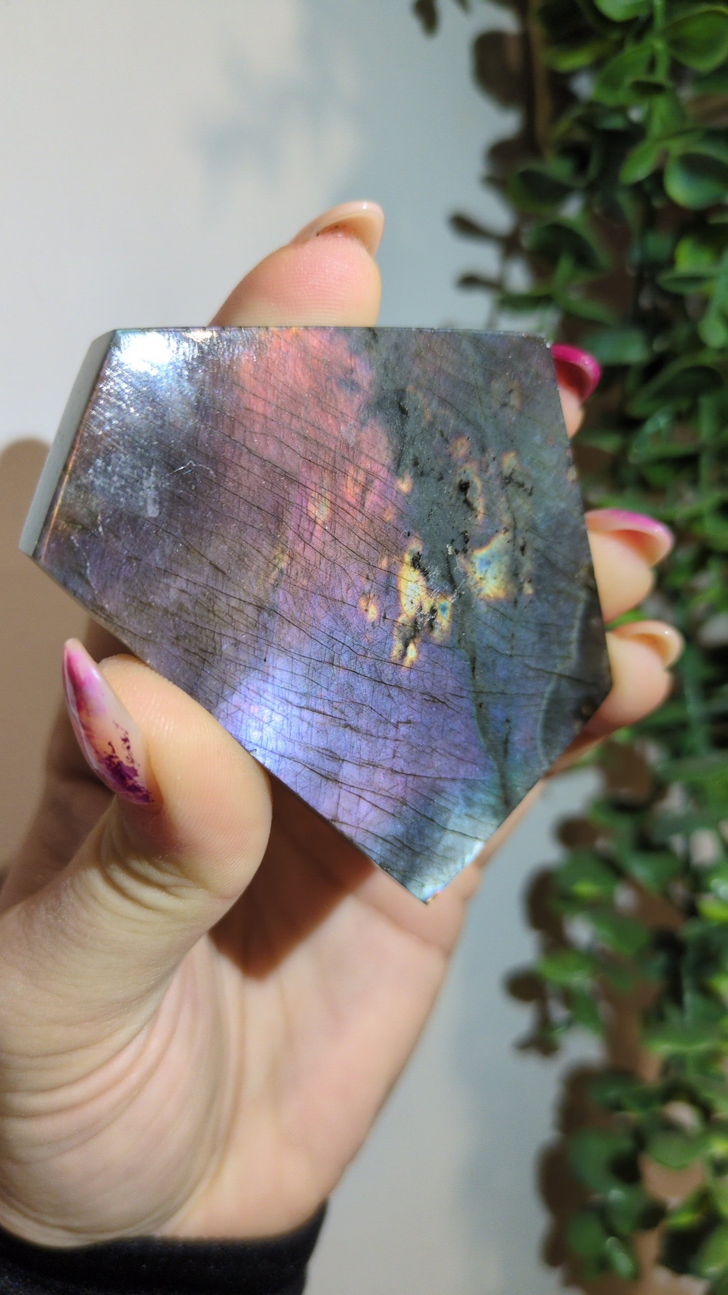 Spectrolite (24) ✨