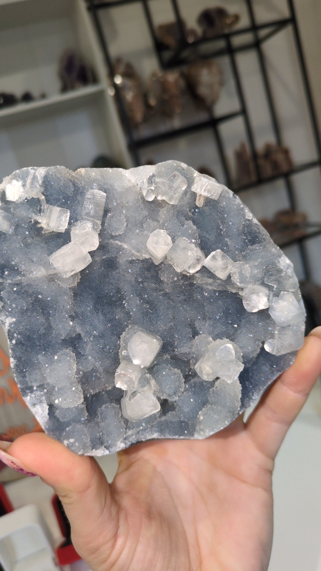 Apophyllite on blue chalcedony ✨ E