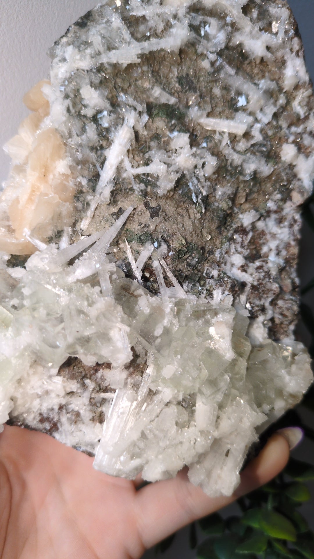 Scolecite Sprayed Apophyllite ✨ India ✨