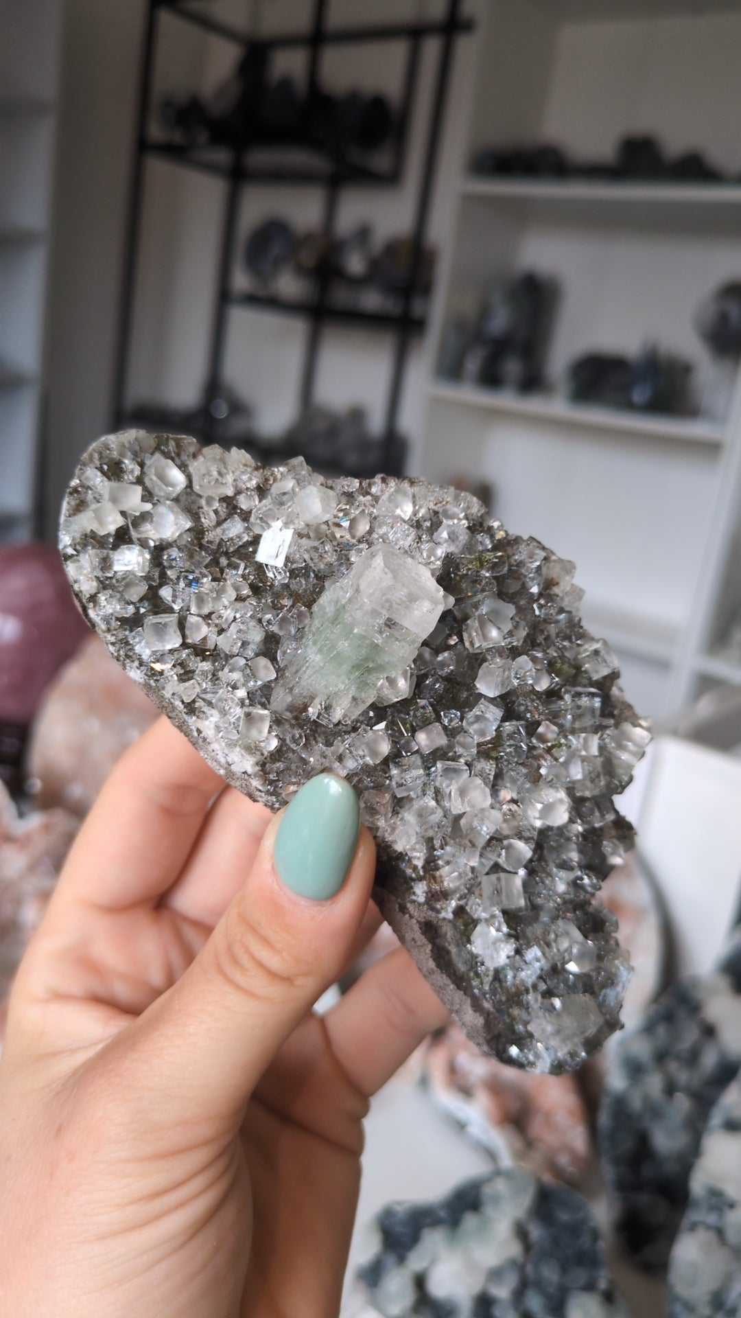 Forest Apophyllite ✨ K