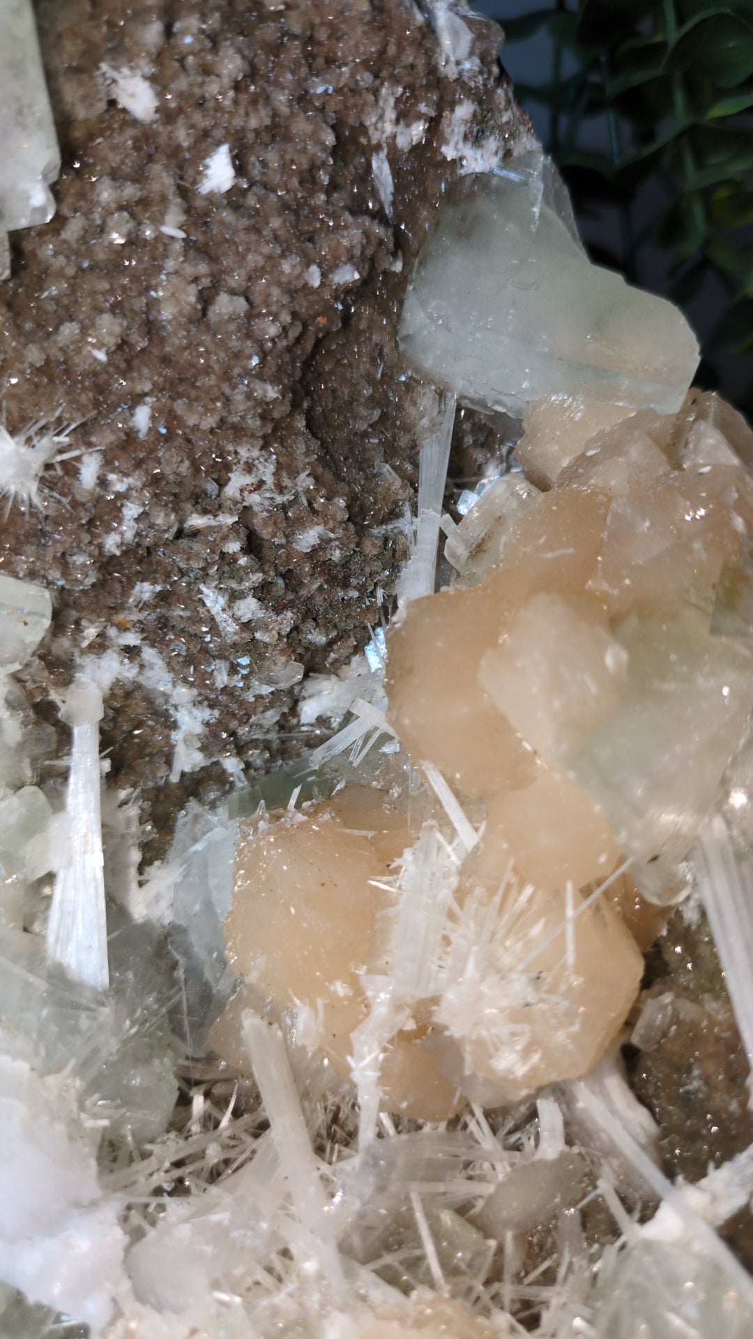 Scolecite Sprayed Apophyllite ✨ C
