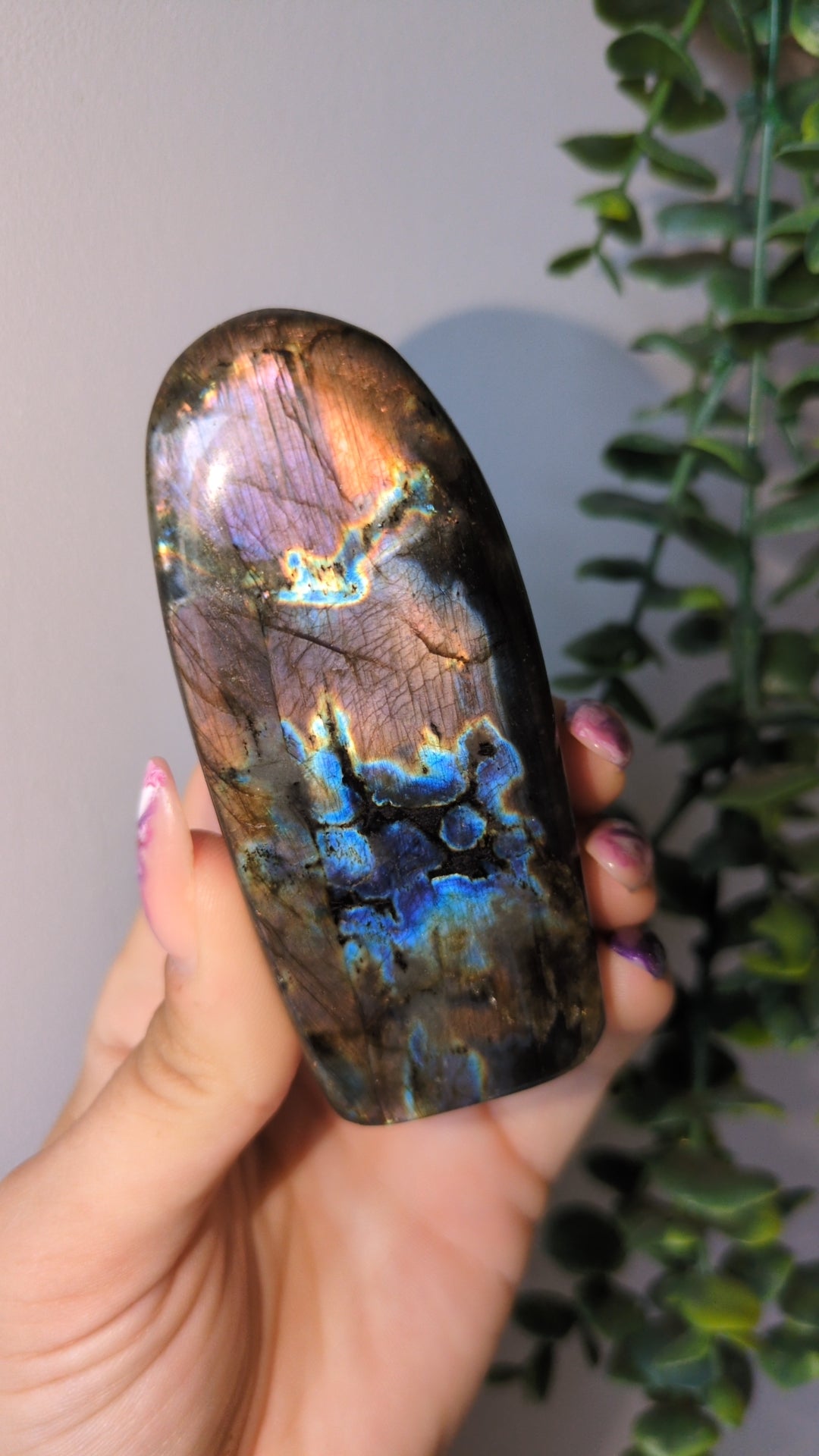 Spectrolite (A) ✨