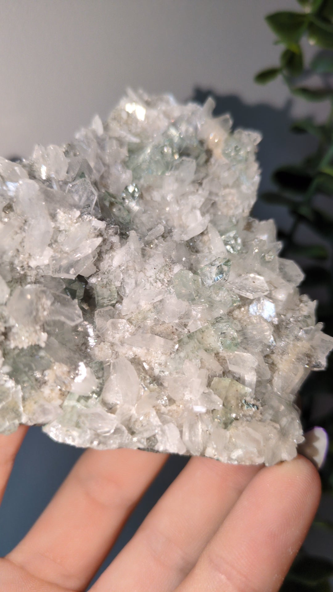 Icy Mint Apophyllite ✨ O