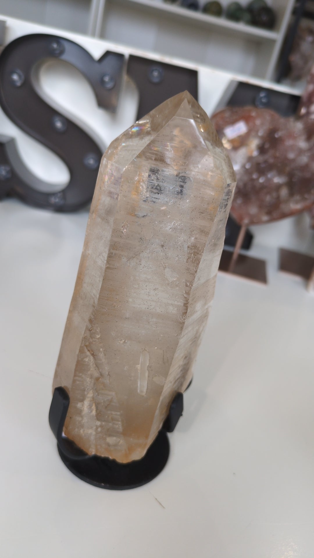 Large Lemurian on stand ✨