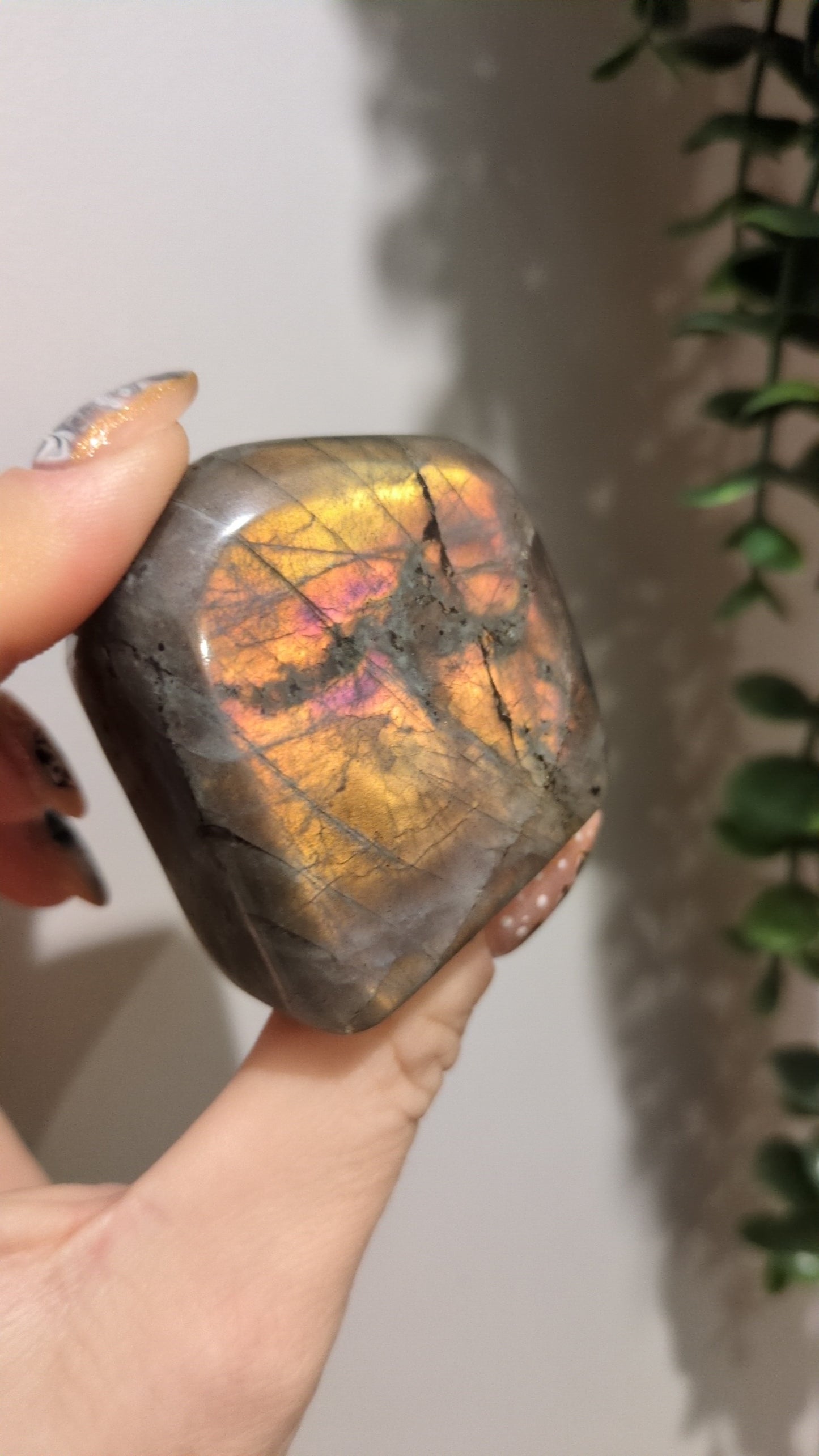 Labradorite freeform ✨ 16Q