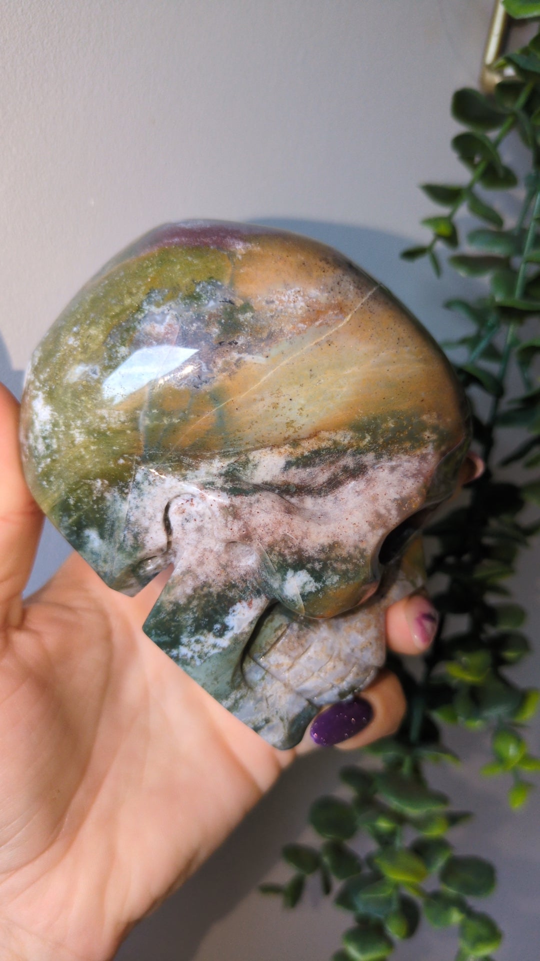 Ocean jasper Skull 💀