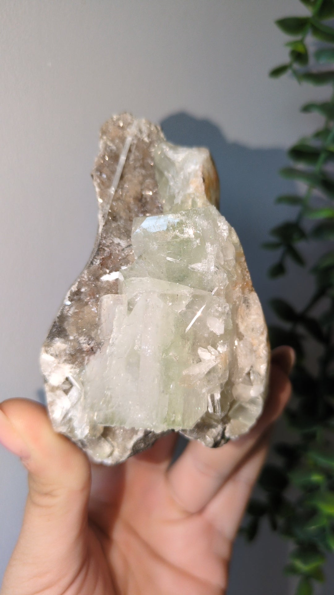 Scolecite Sprayed Apophyllite ✨