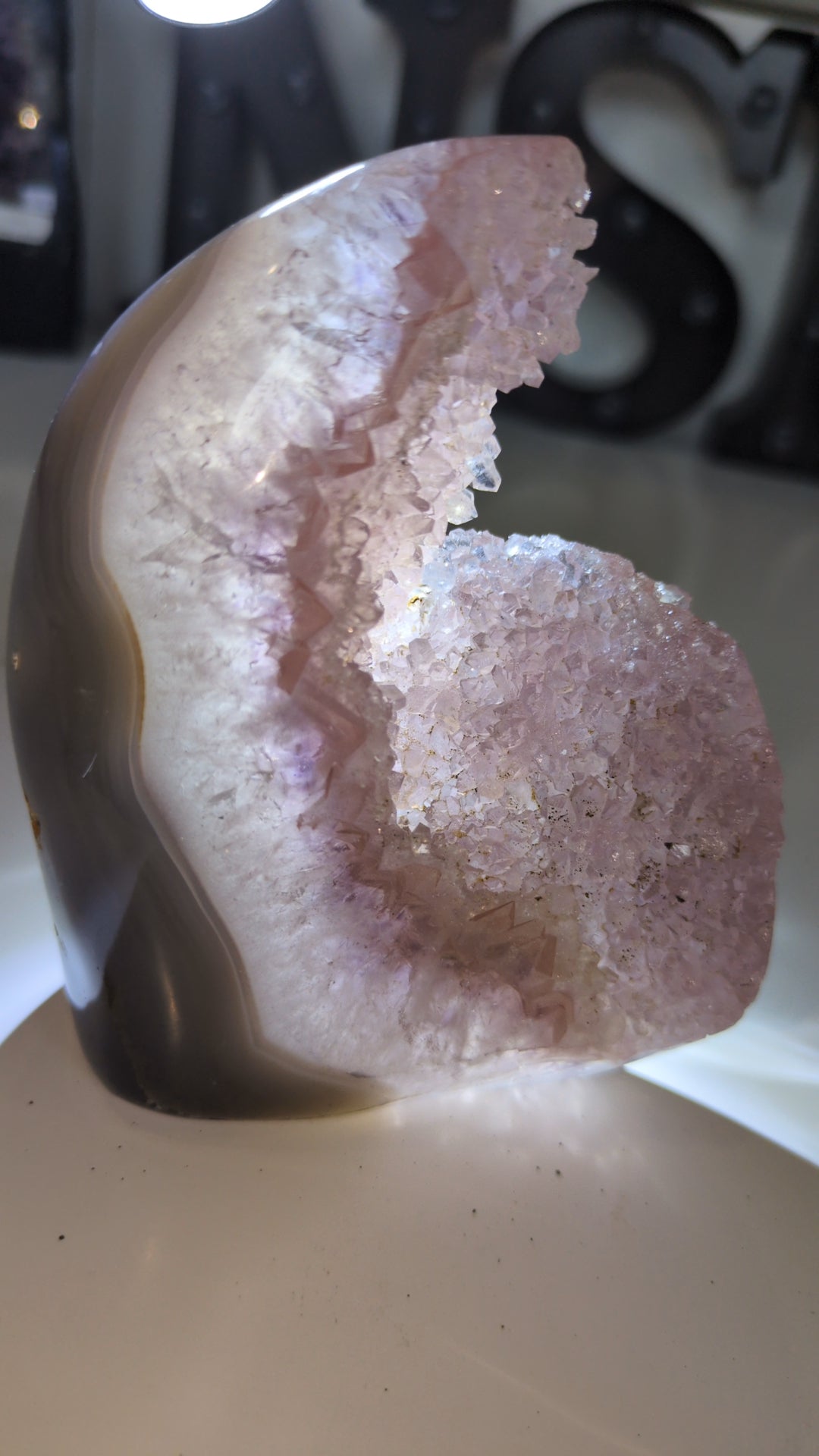 Pink Uruguay freeform ✨