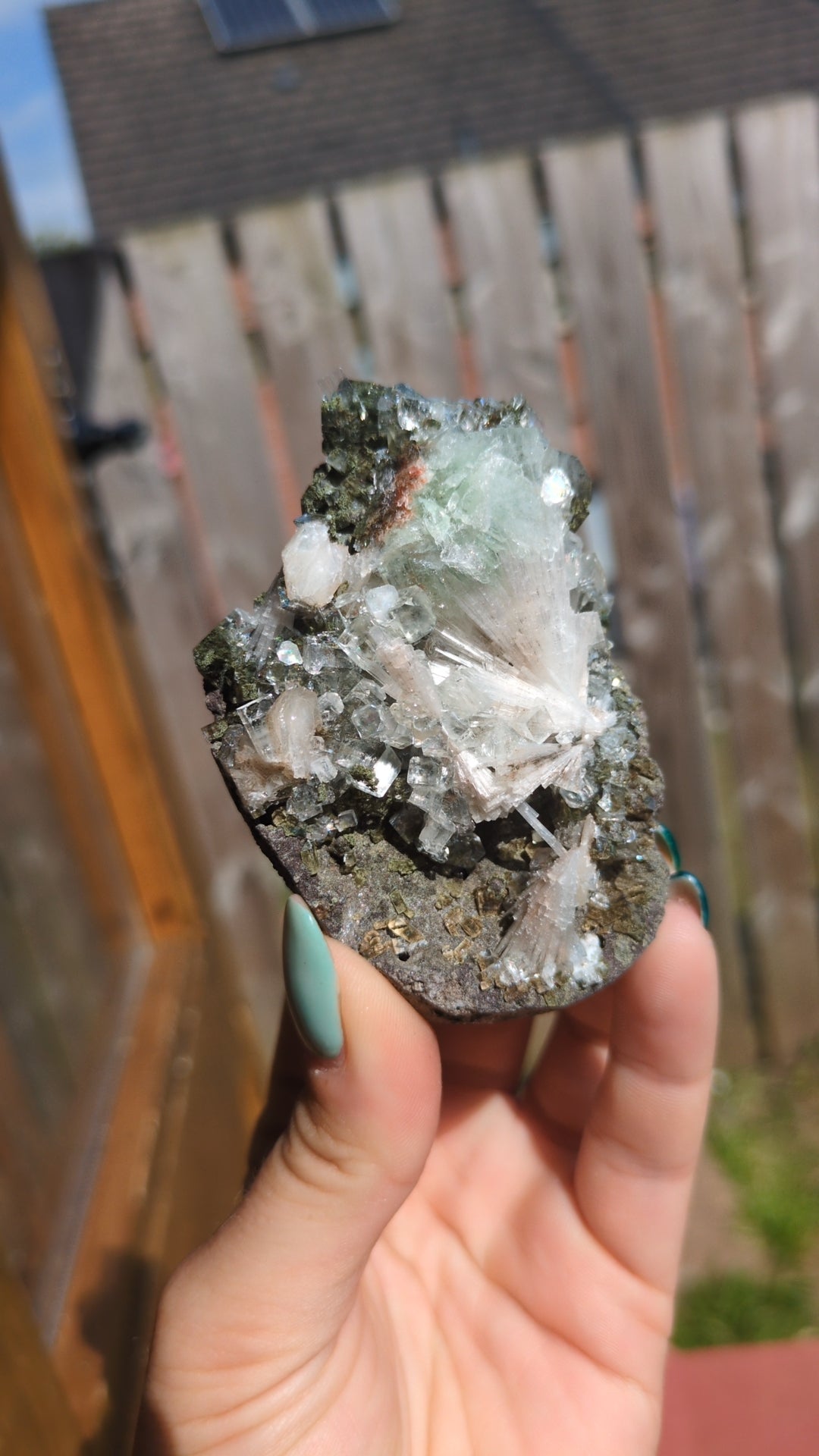 Forest Apophyllite ✨M