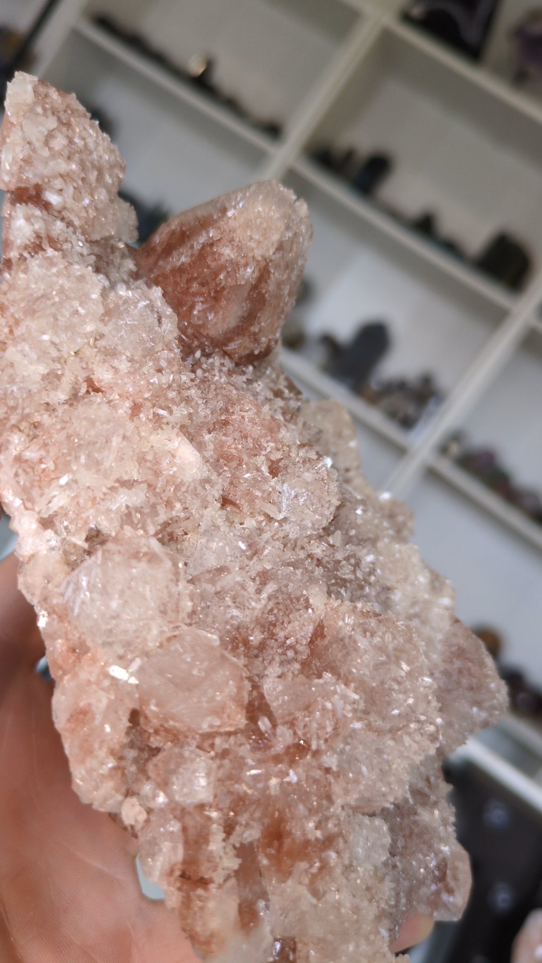 Pink Apophyllite ✨ L