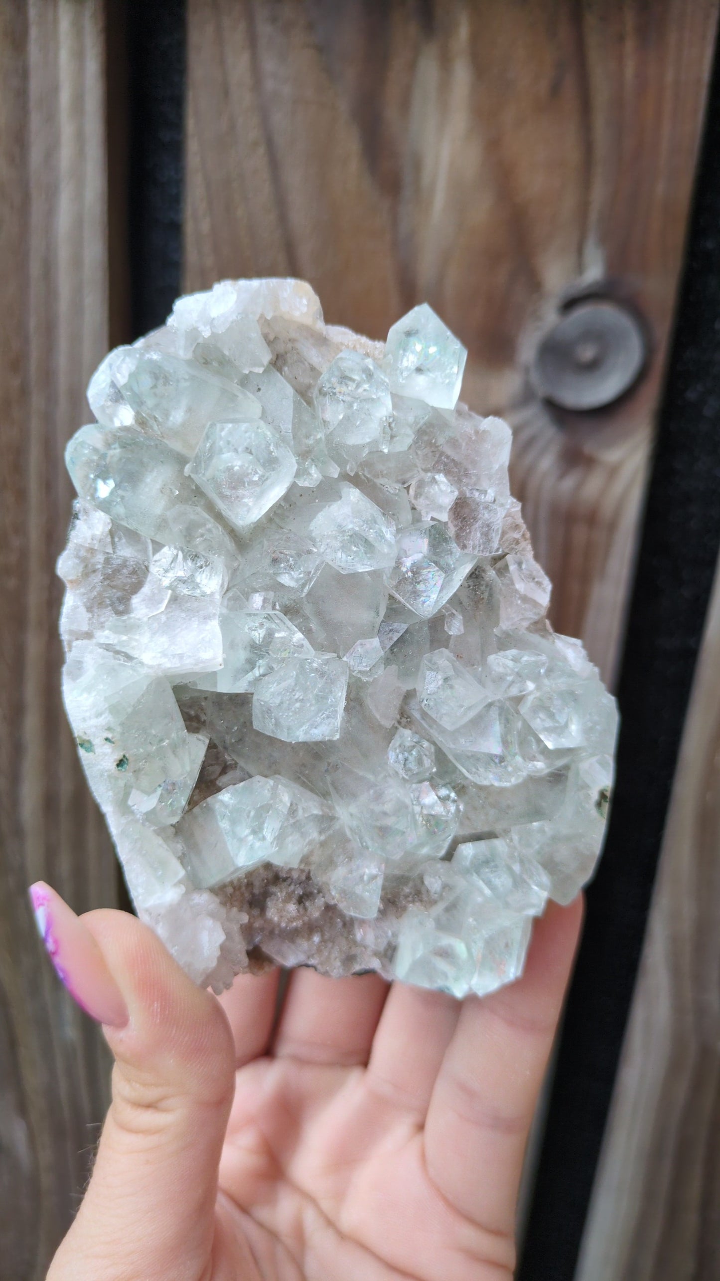 Icy Mint Apophyllite ✨ X