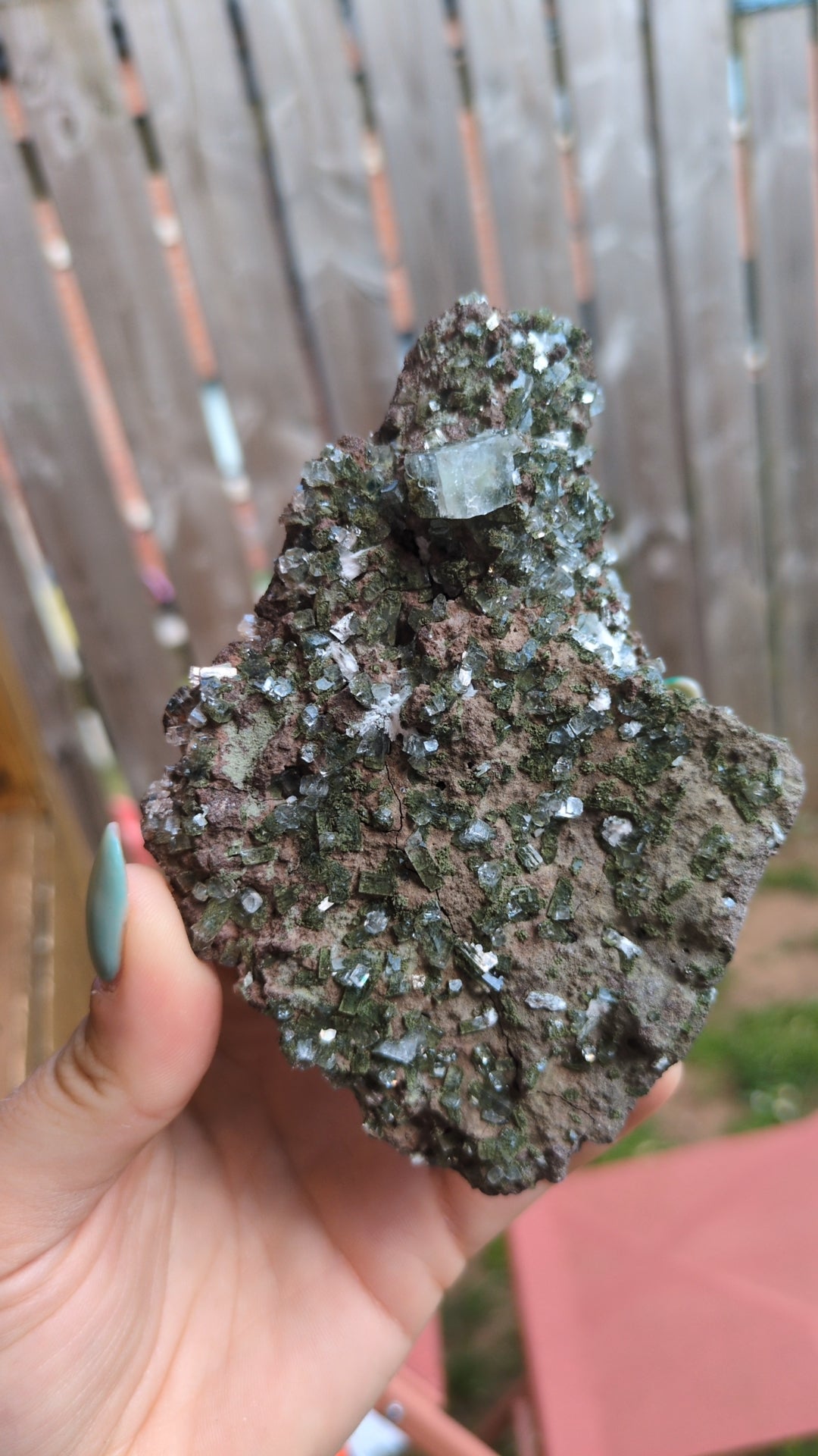 Forest Apophyllite ✨ G
