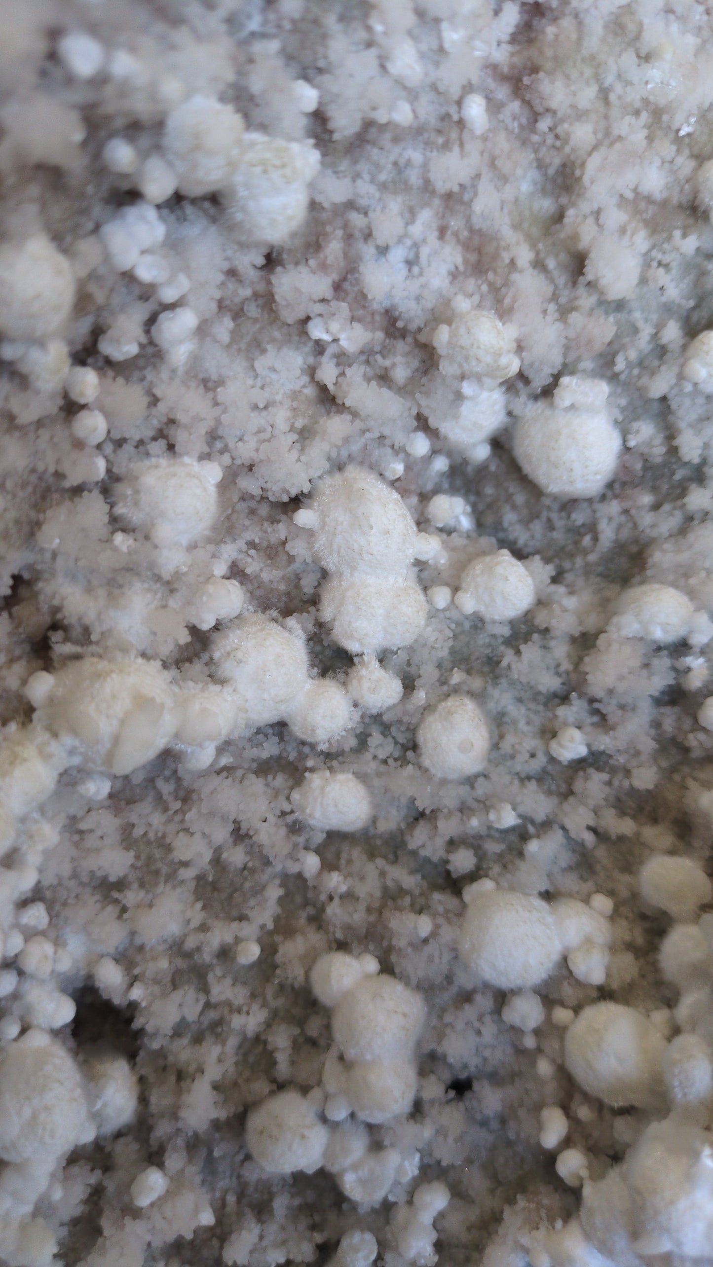 Okenite From India ✨ A