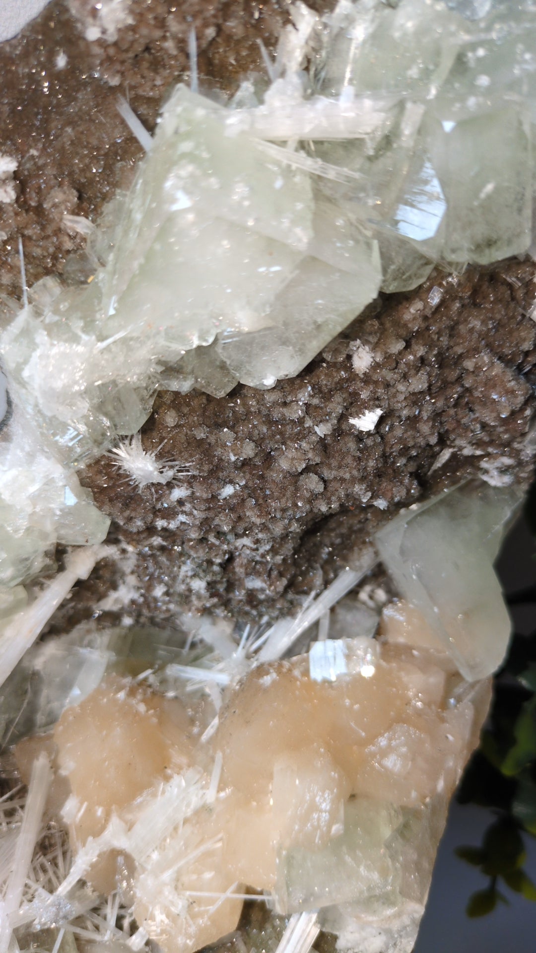 Scolecite Sprayed Apophyllite ✨ C