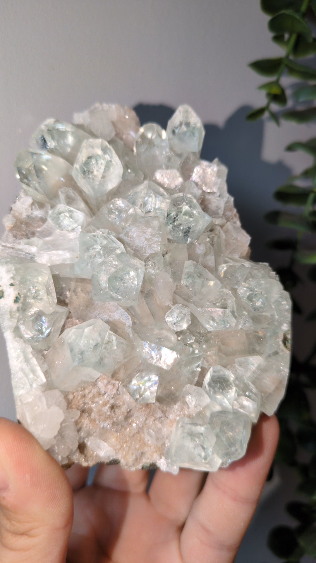 Icy Mint Apophyllite ✨ X