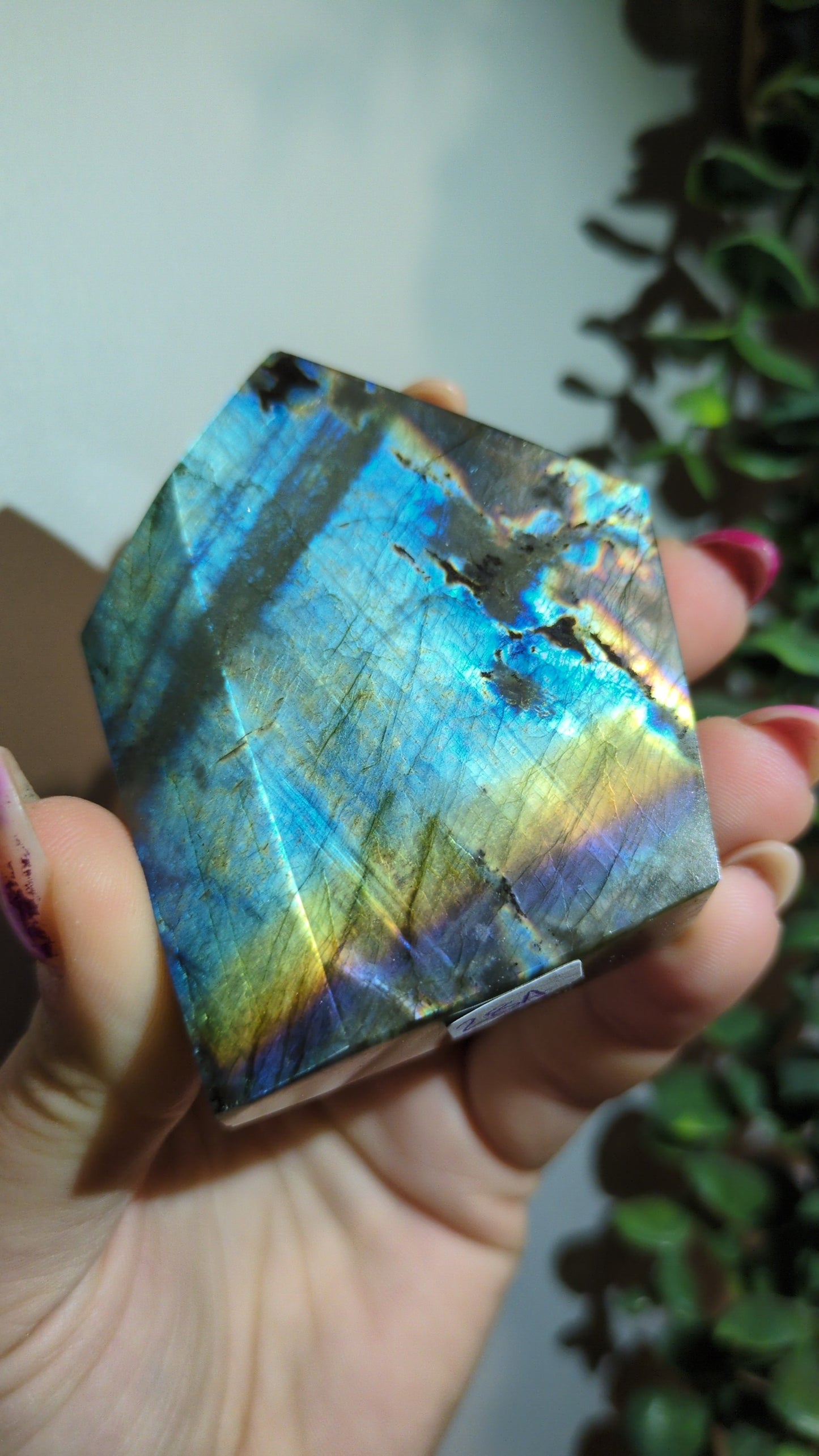 Spectrolite (28A) ✨