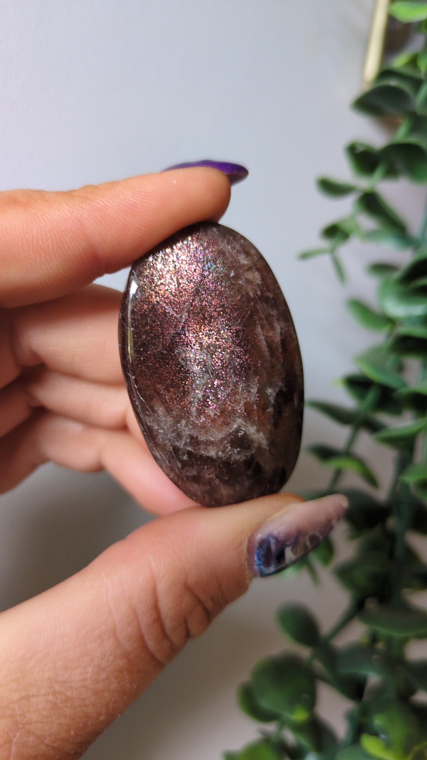 Black moonstone X sunstone ✨C