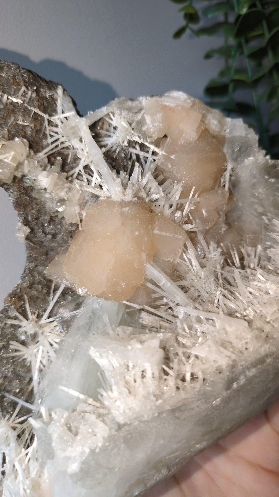 Scolecite Sprayed Apophyllite ✨ B2