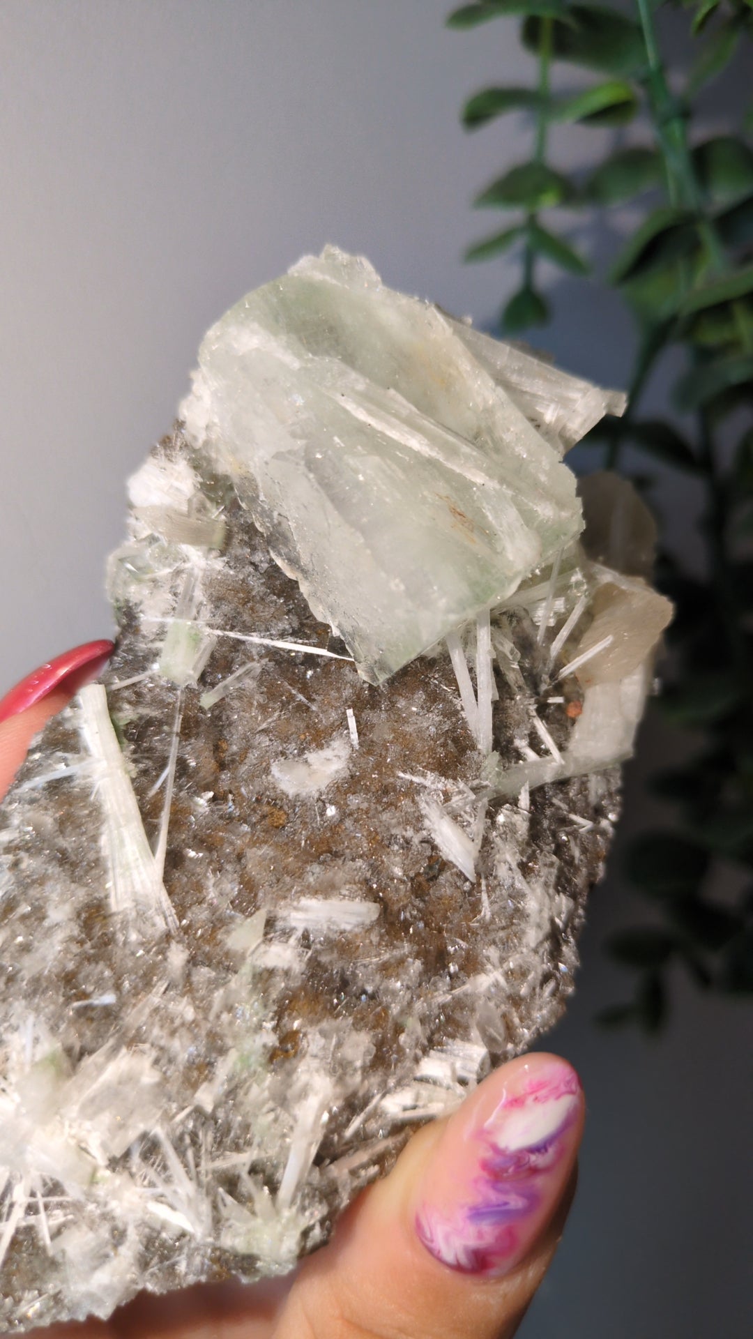 Scolecite Sprayed Apophyllite ✨