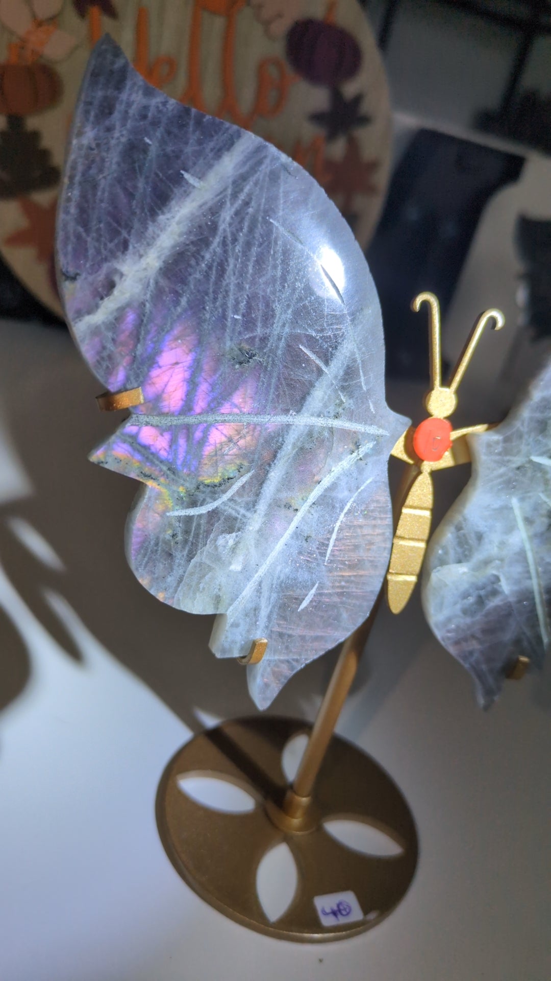 Labradorite wings set (10)