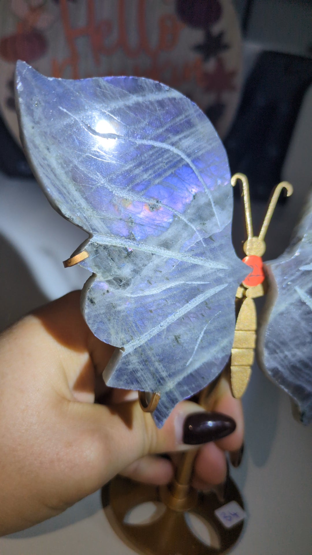 Labradorite wings set ( a22) ✨