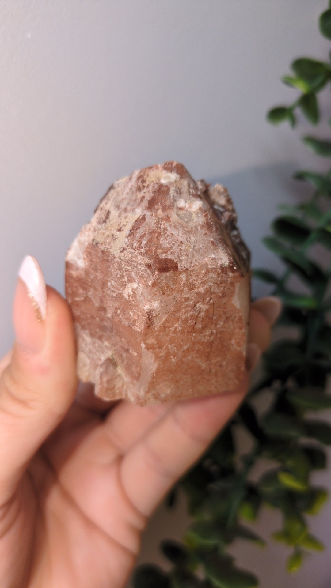 Red scepter Point (1)
