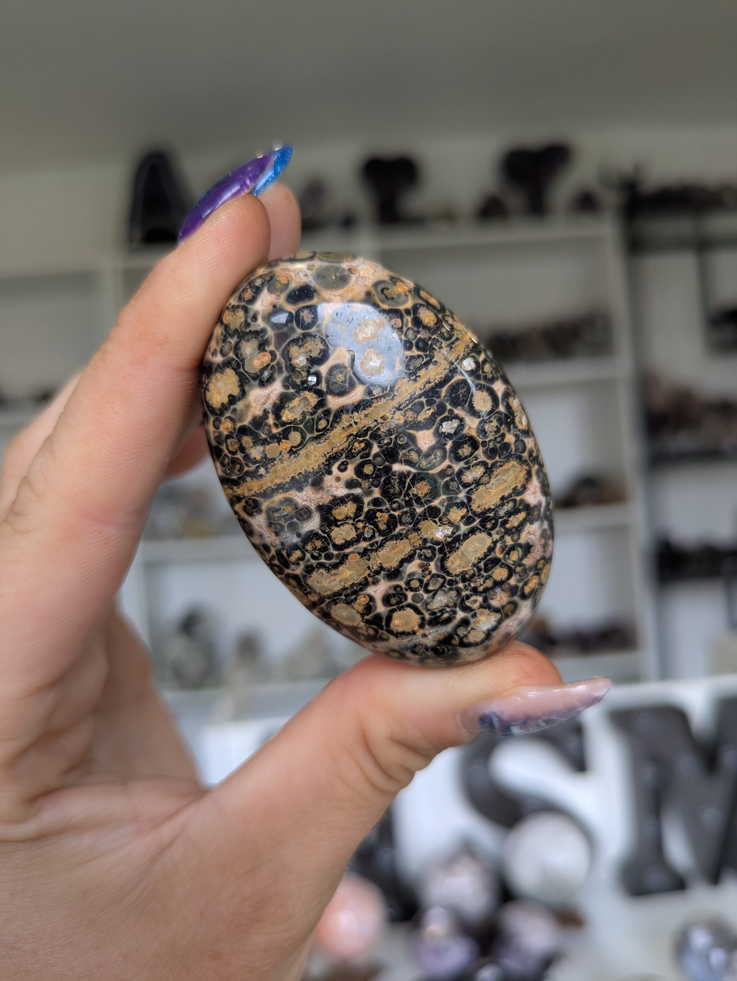 Leopard jasper palm ✨