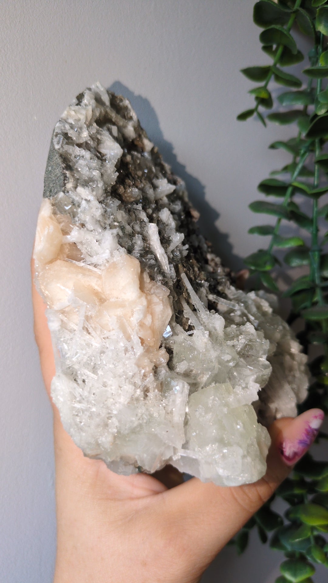 Scolecite Sprayed Apophyllite ✨ India ✨