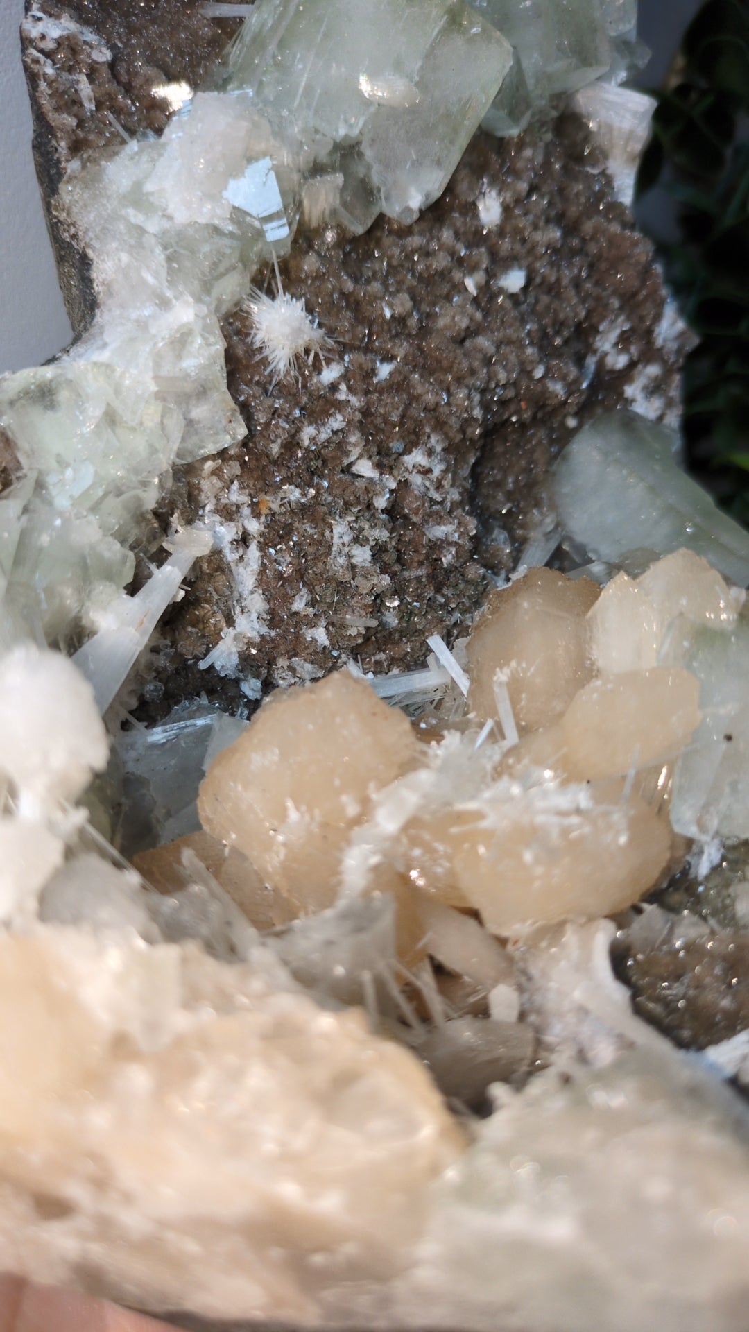 Scolecite Sprayed Apophyllite ✨ C
