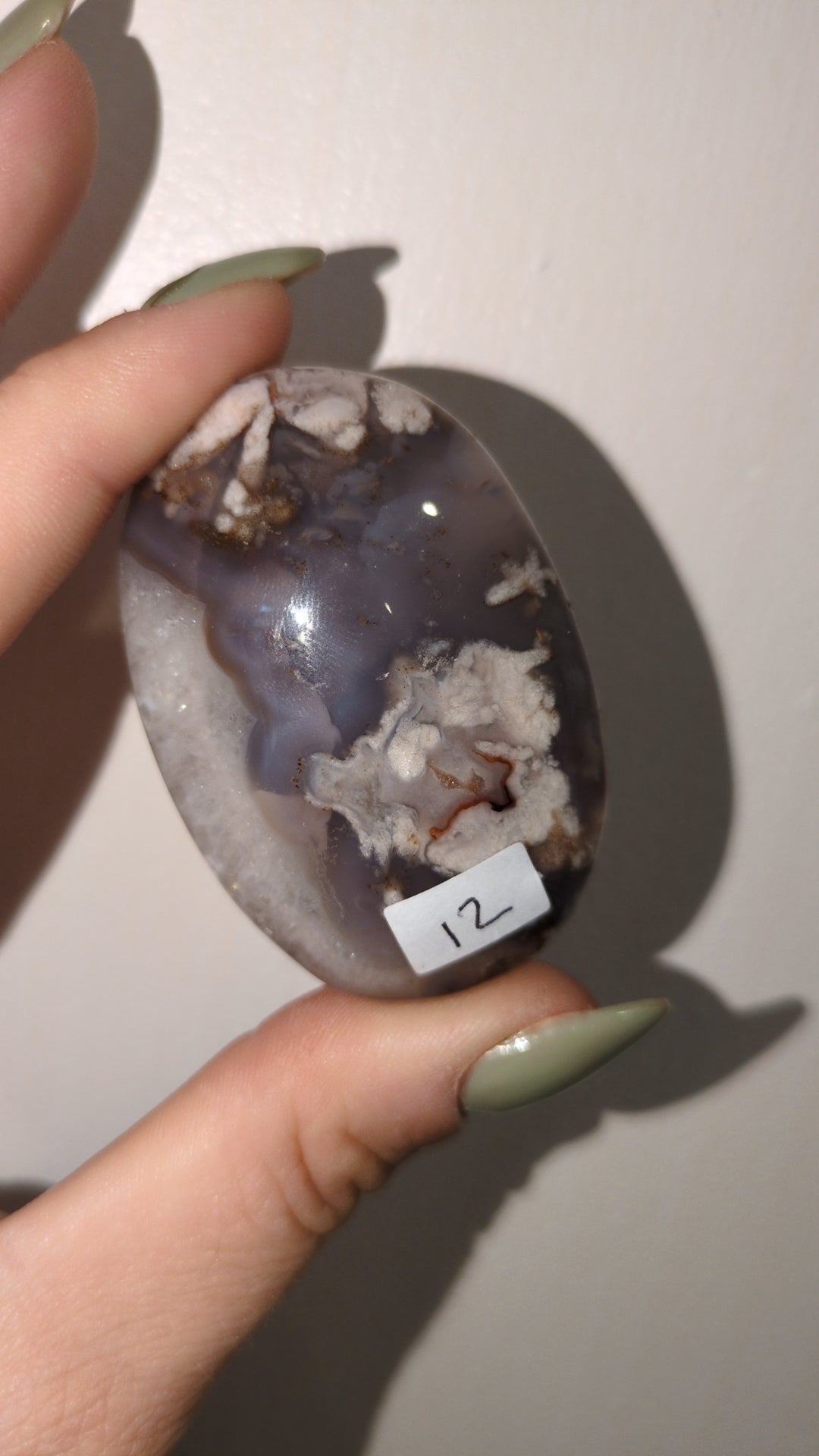 Blue flower agate palm ✨