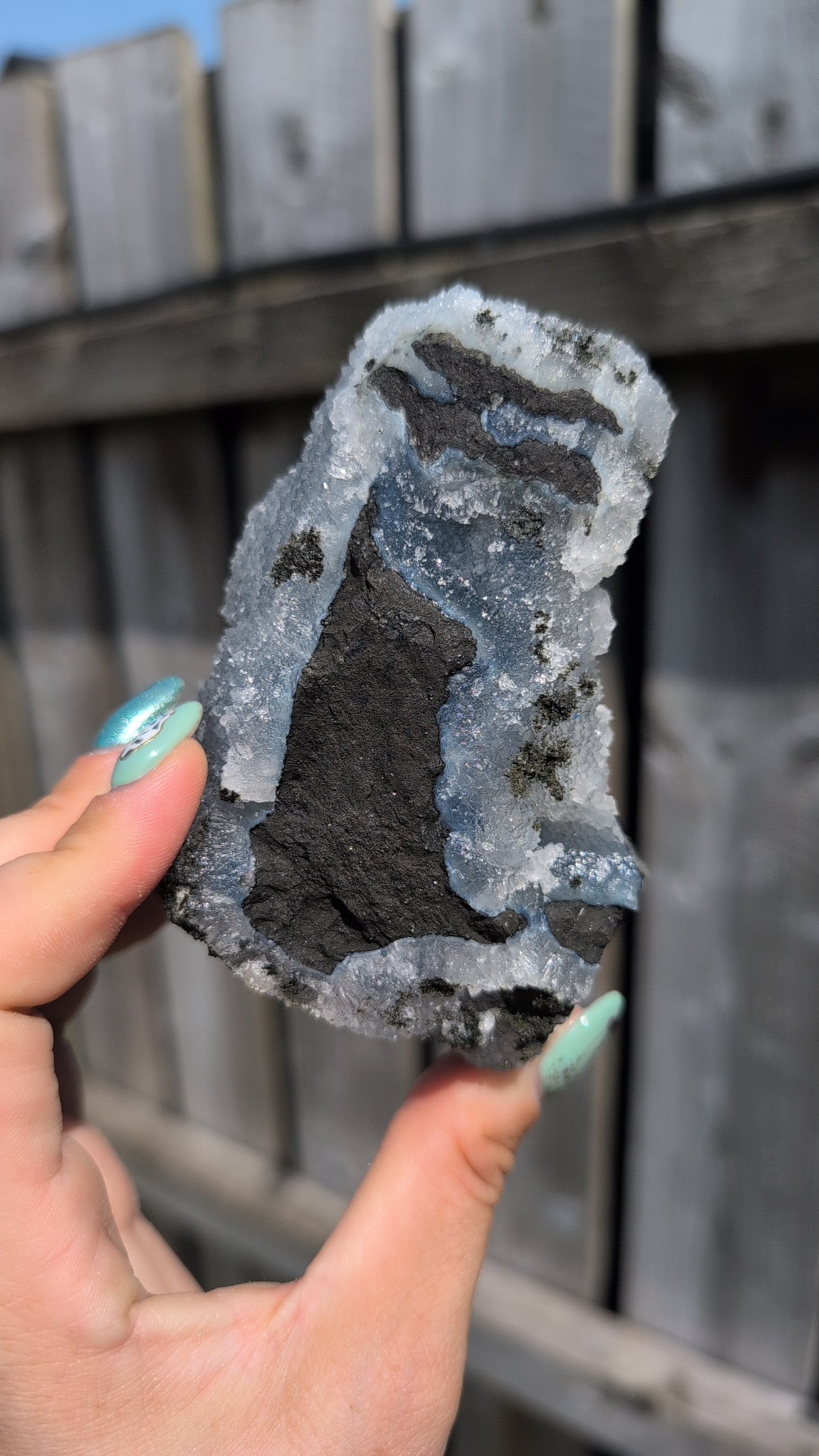 Black forest Apophyllite ✨ Z