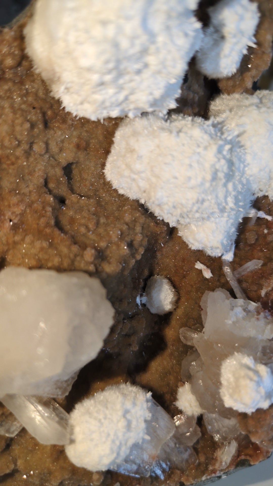 Okenite From India ✨ (C)