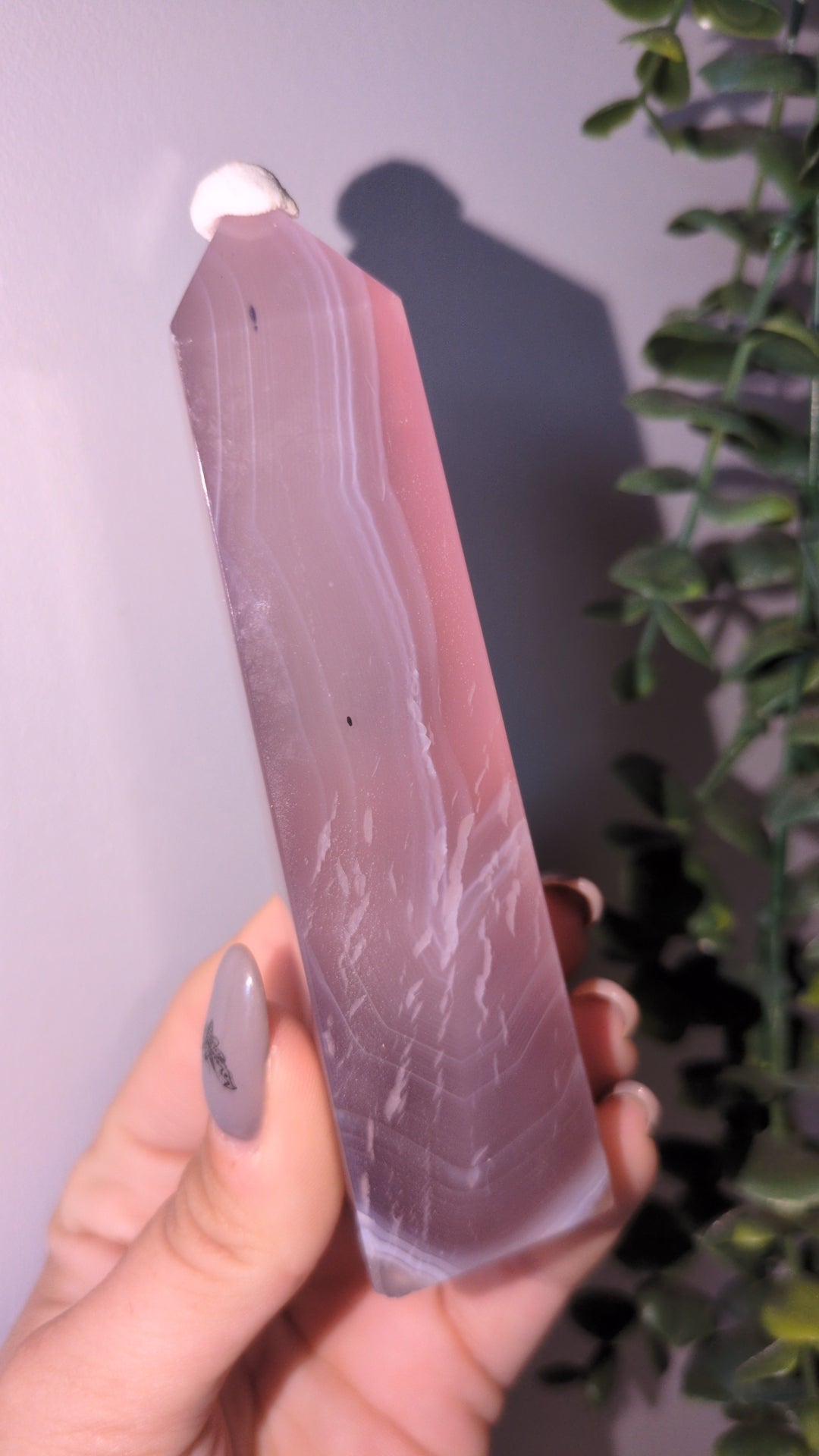 Jellyagate tower A ✨