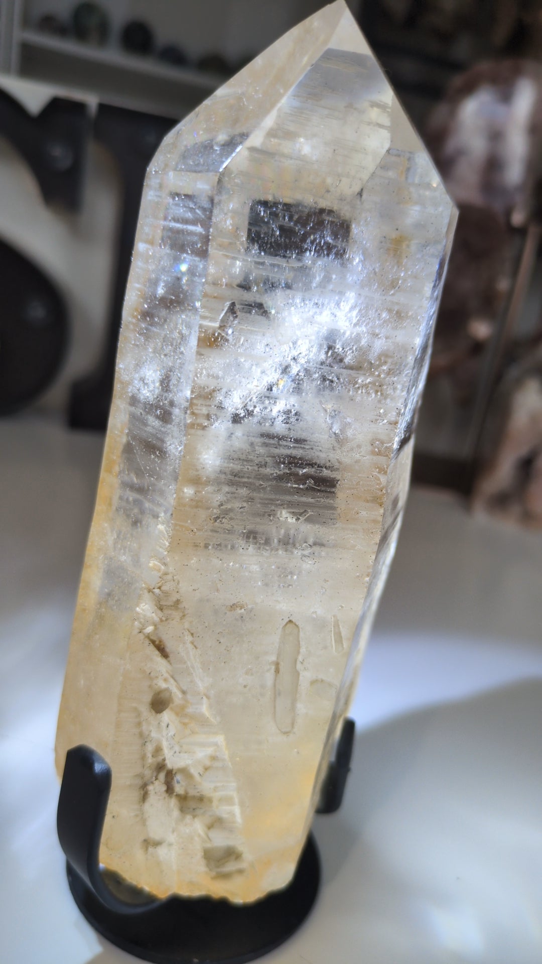 Large Lemurian on stand ✨