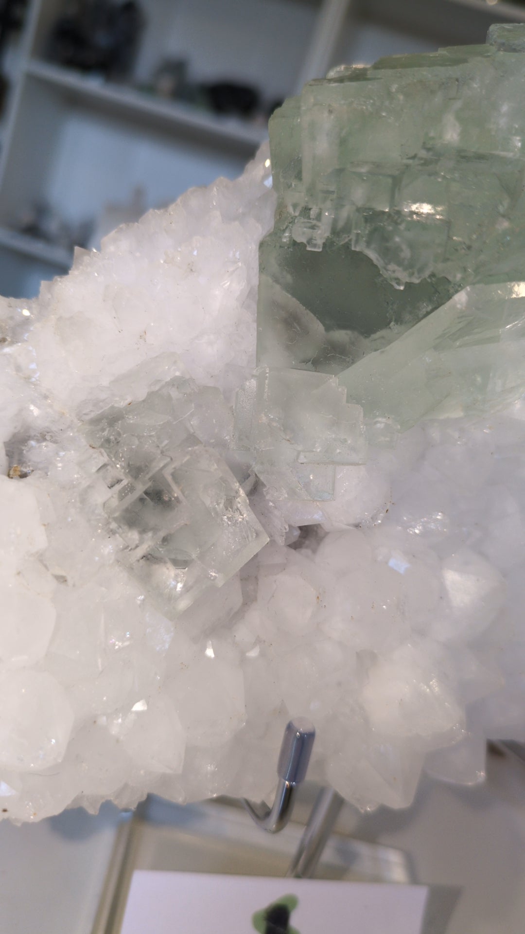 Flourite on quartz ✨