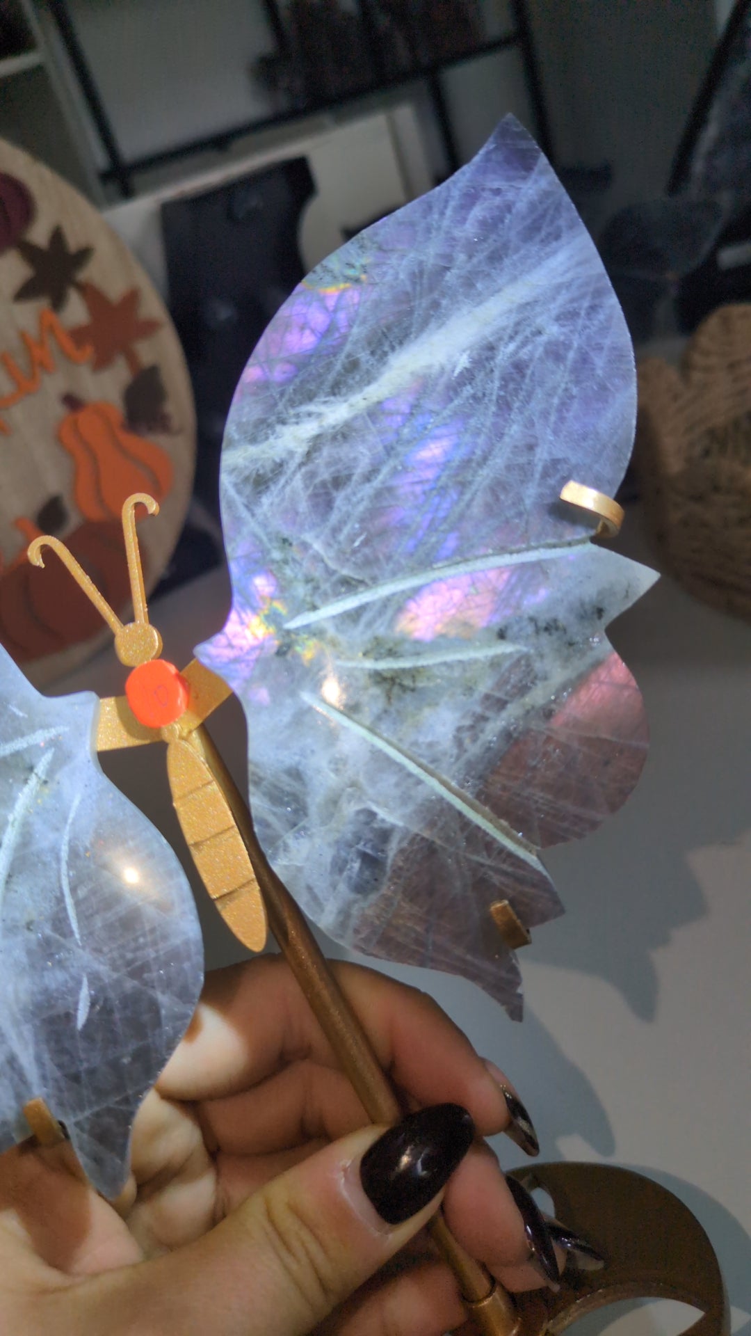 Labradorite wings set (10)
