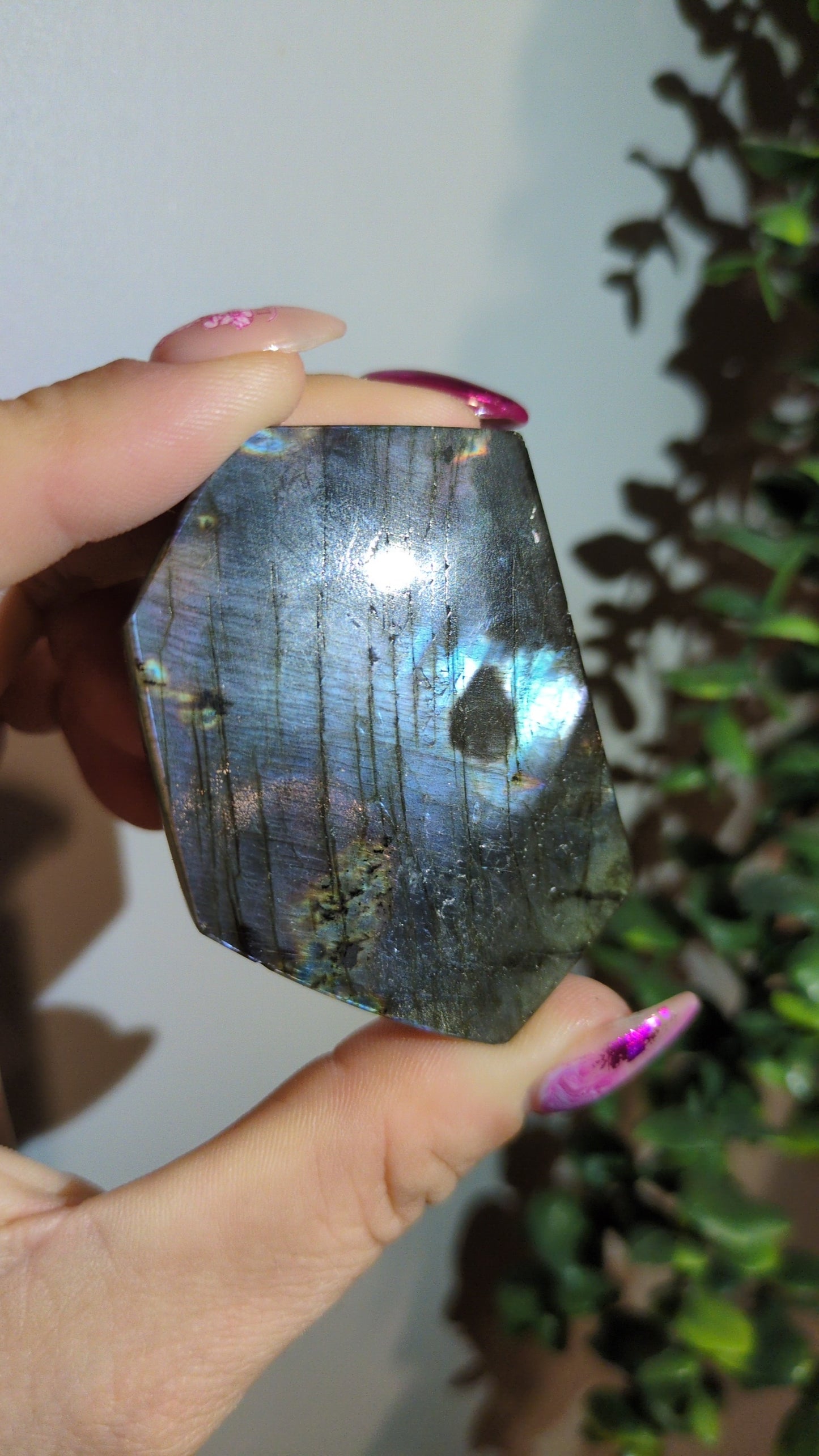 Spectrolite (18Y) ✨