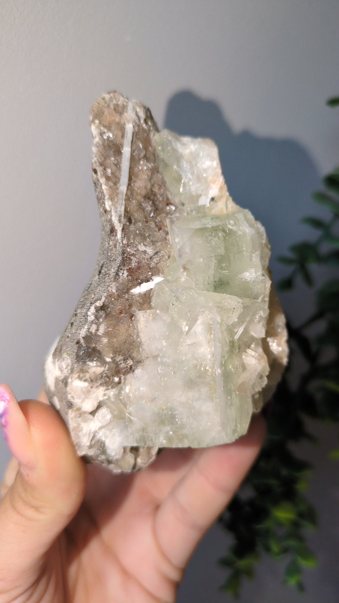 Scolecite Sprayed Apophyllite ✨
