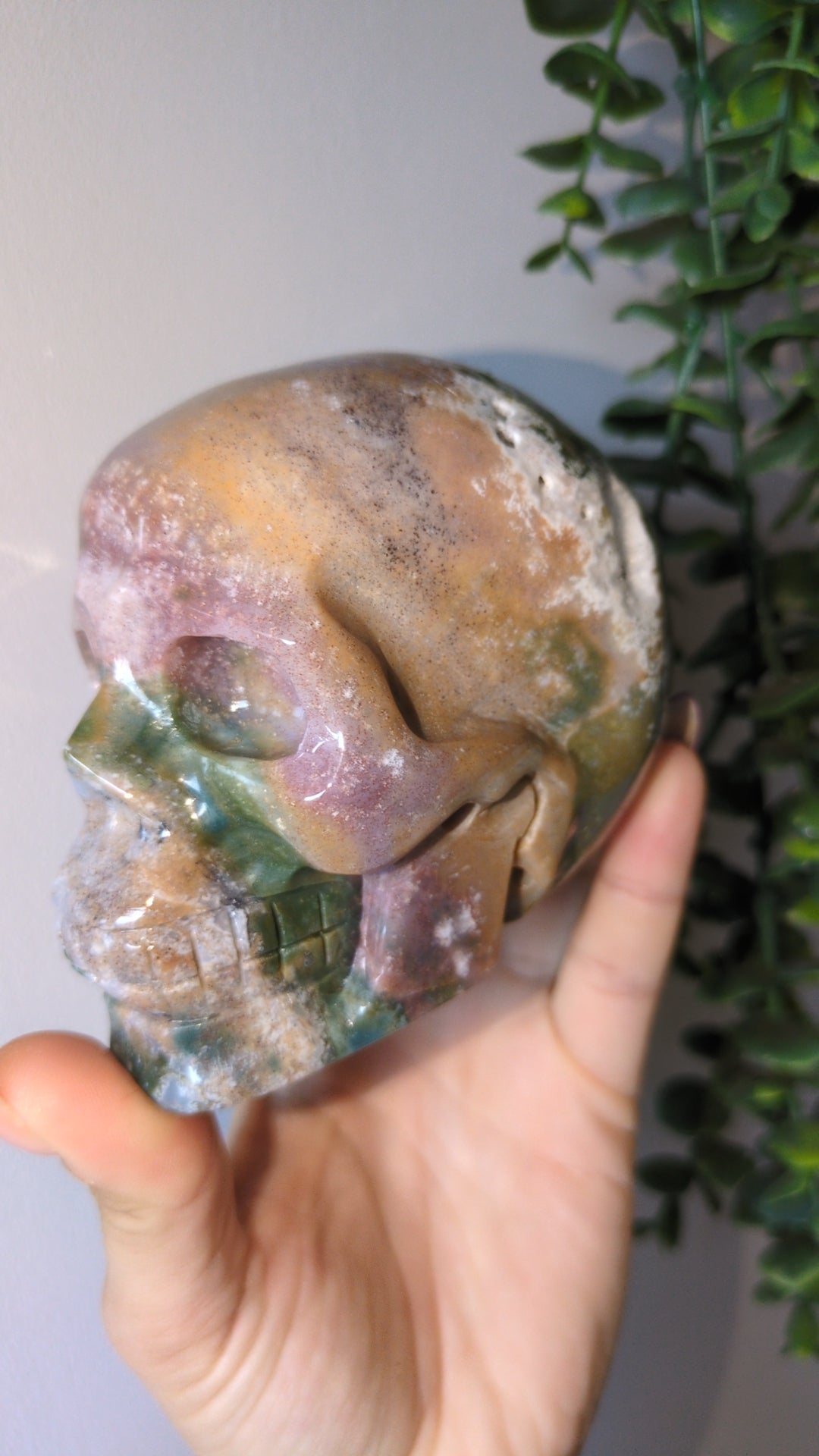 Ocean jasper Skull 💀