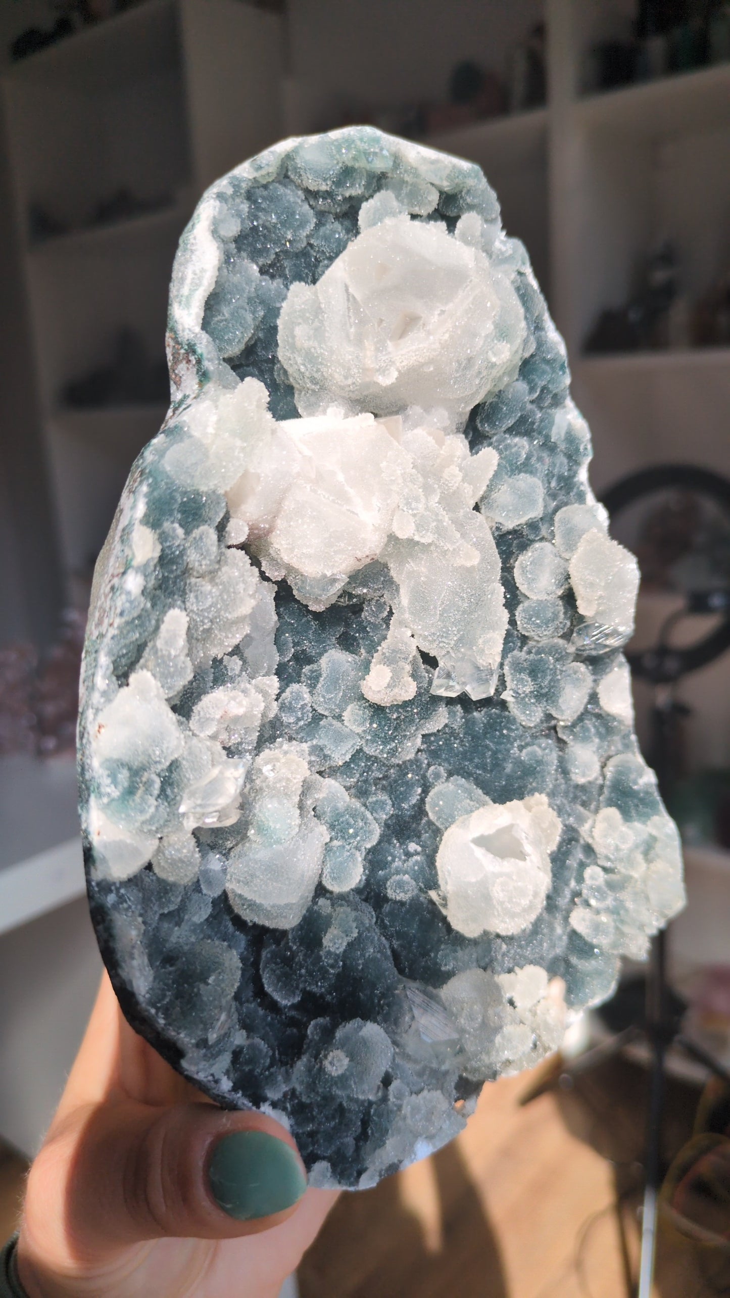 Apophyllite on Blue Chalcedony ✨ I
