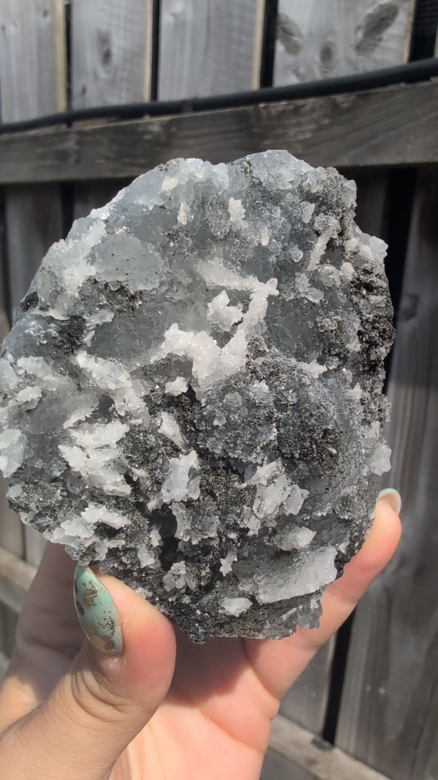 Black forest Apophyllite ✨ O