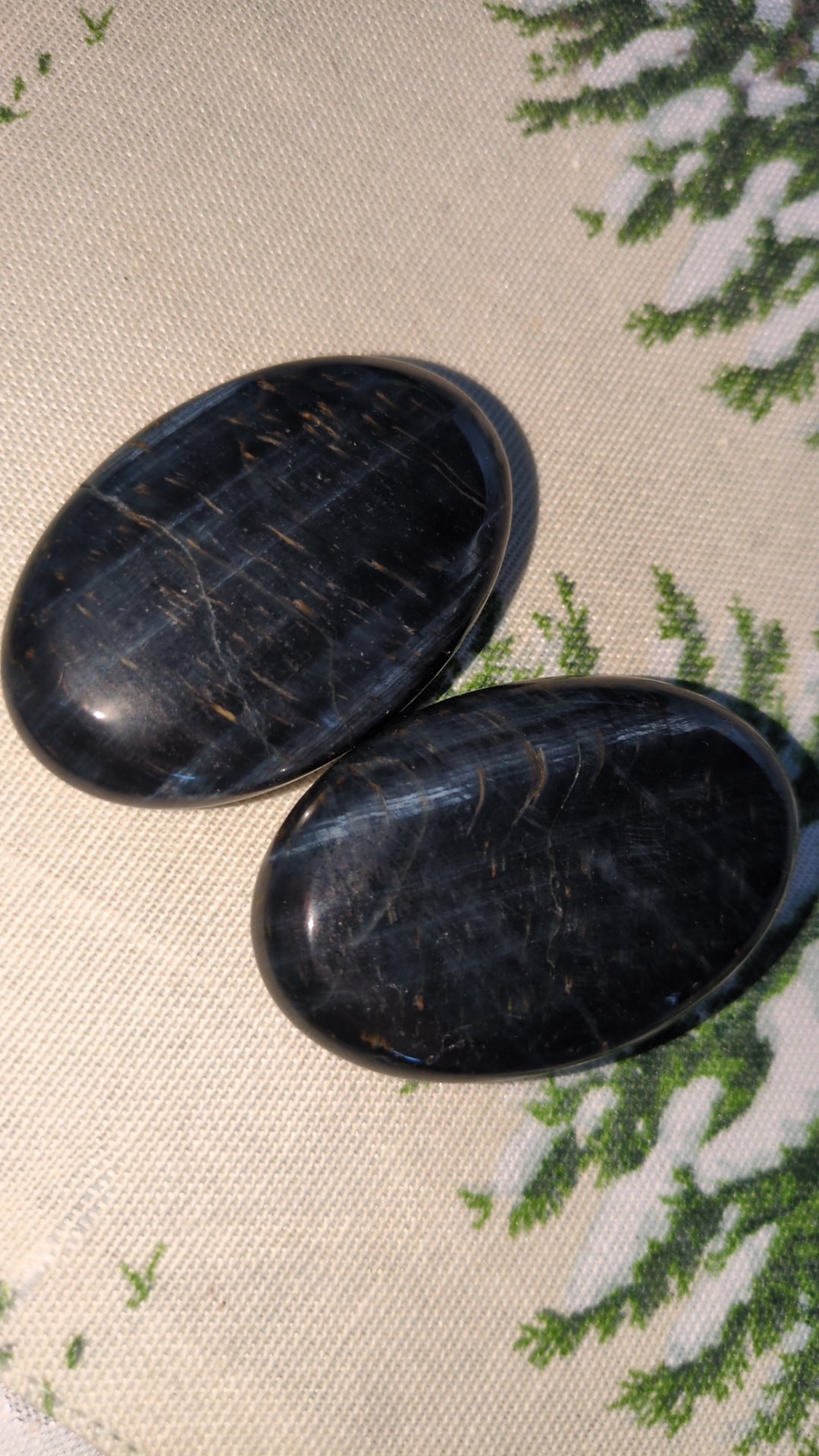 Blue tiger's eye palms ✨