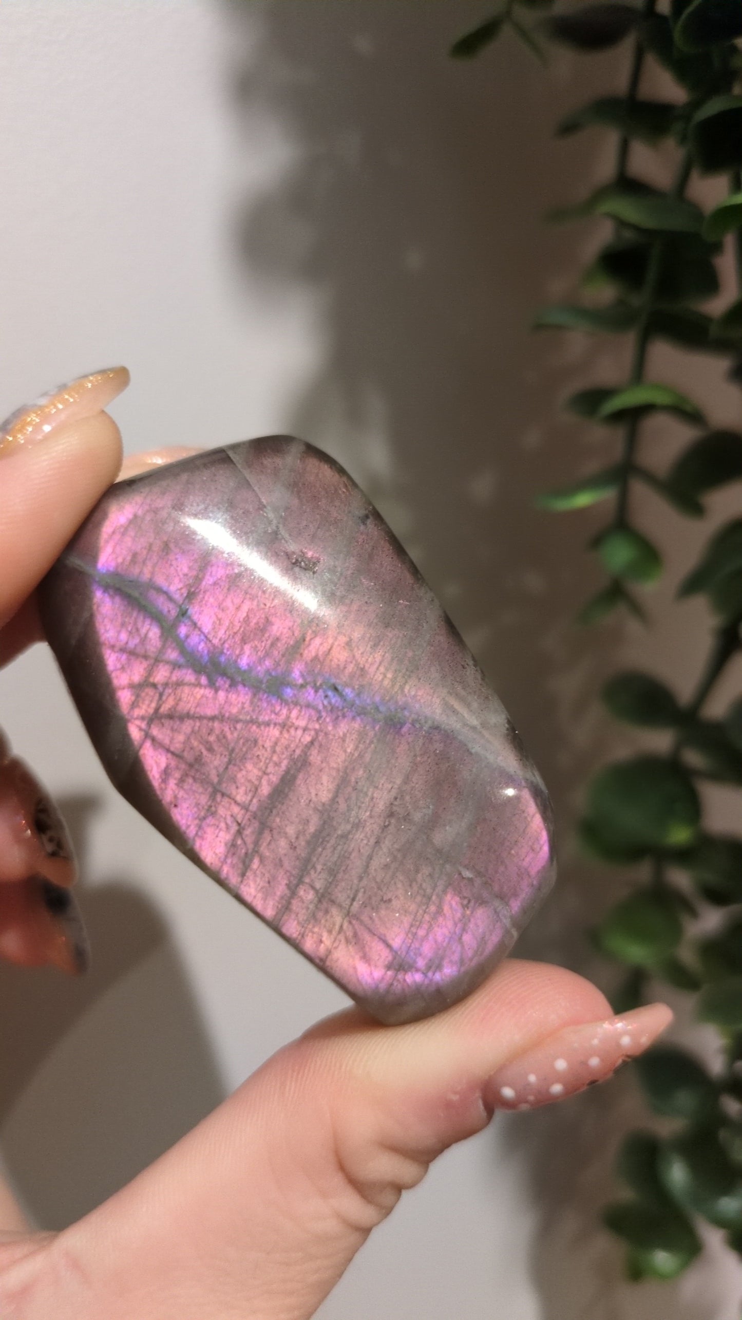 Labradorite freeform ✨ 18