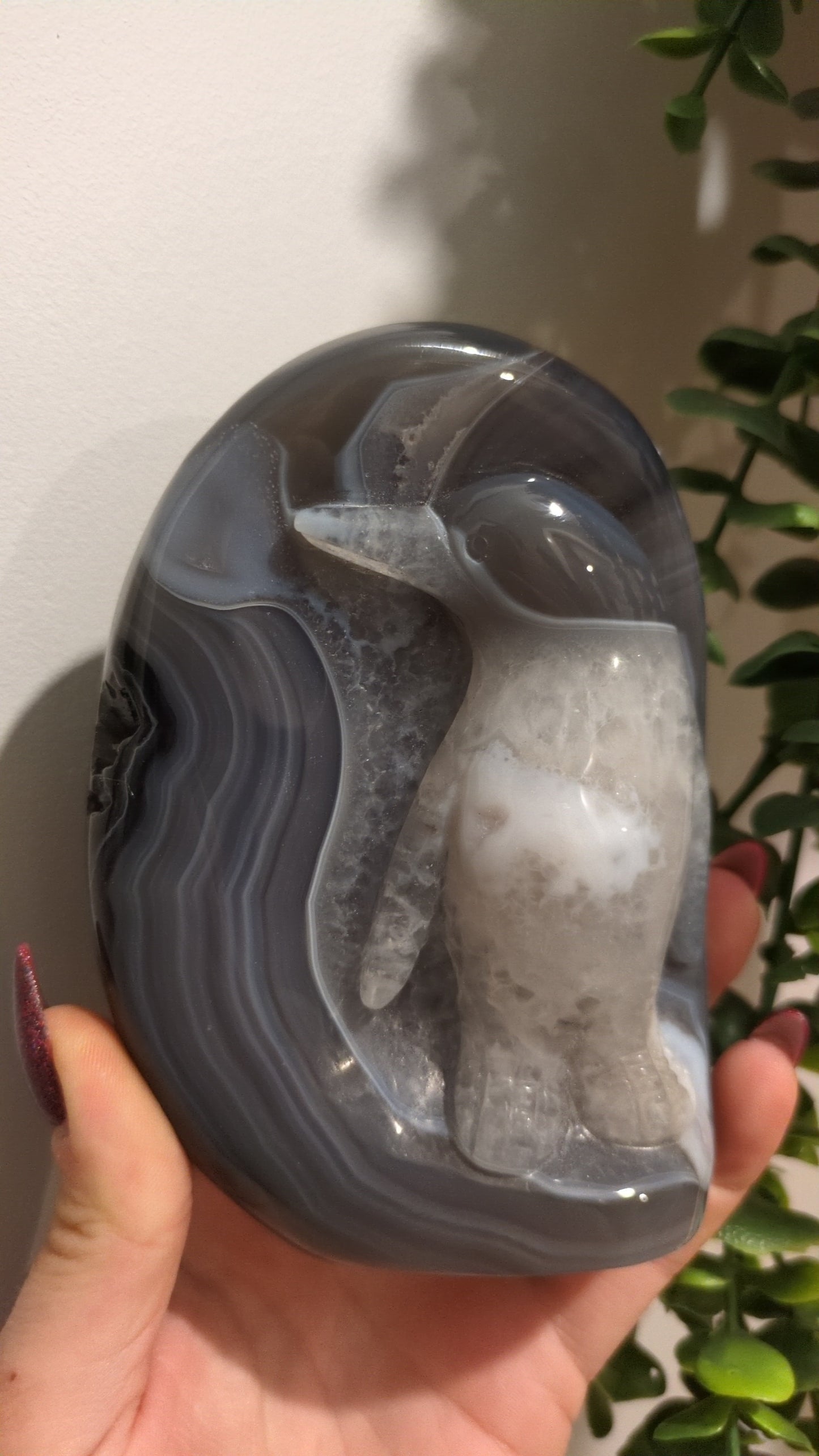 Penguin carving ✨