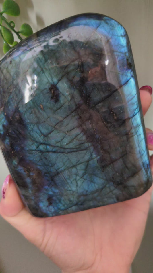 Labradorite freeform ✨ X