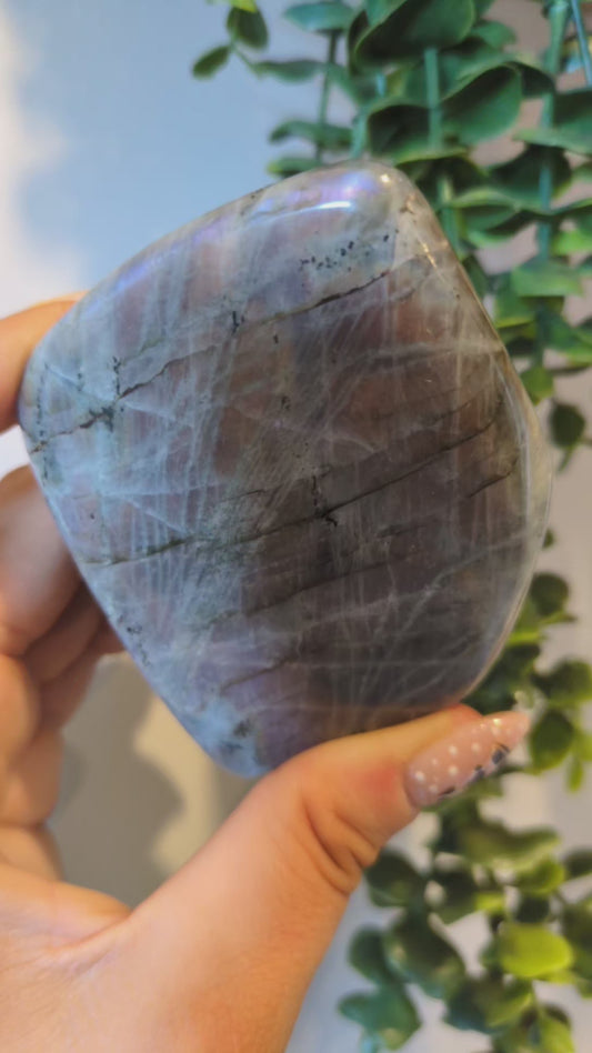Labradorite freeform ✨ 32