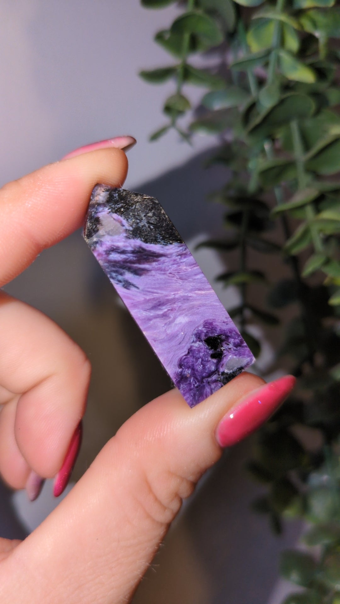 Chariote tower ✨ A